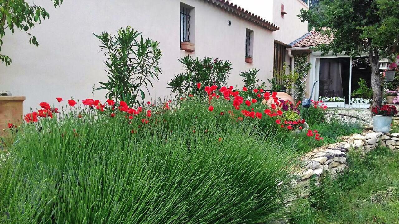 Lapauline Fr5bzeva Holiday home *
